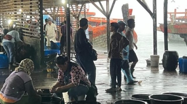 Foto : Salah satu aktivitas pukat trawl yang membongkar hasil tangkapan di salah satu tangkahan di Kota Sibolga.
