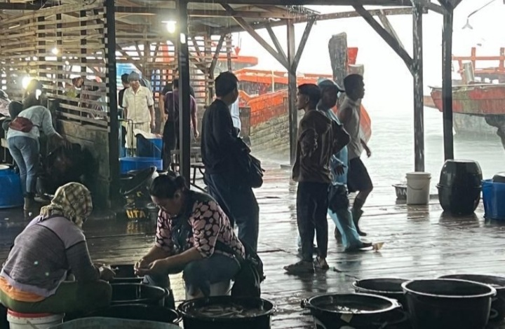 Foto : Salah satu aktivitas pukat trawl yang membongkar hasil tangkapan di salah satu tangkahan di Kota Sibolga.