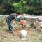 Foto : Dandim 0211/TT saat menanam pohon Sengon ditepi sungai Kolang pada Jumat (8/12/23).