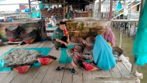 Foto : Babinsa Koramil 03/Pandan, Serda Sapran Simanjuntak saat berbincang-bincang dengan ibu-ibu pengelola ikan asin di Kelurahan Hajoran Induk pada Kamis (30/11/23).