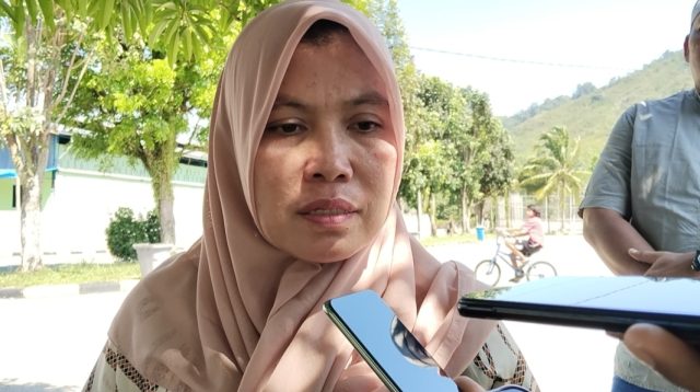 Foto : Ketua HNSI Sumut, Linda Hutagalung