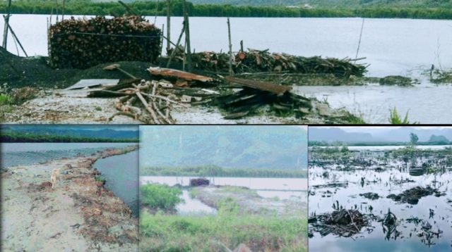 Foto : Kondisi lahan mangrove di Lingkungan II, Kelurahan Kelangan Indah, Kecamatan Pandan, Kabupaten Tapanuli Tengah yang dibabat habis orang tidak bertanggung jawab.