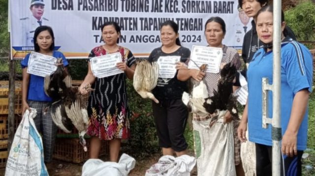 Foto : Penyerahan bantuan bibit Padi dan Bebek kepada warga Desa Pasaribu Tobing Jae, Kecamatan Sorkam Barat tahun 2024.