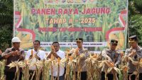 Foto: Kapolres Tapteng bersama paraPejabat Utama Polres, Kapolsek Sibabangun, Camat Sibabangun, Kepala Desa Anggoli, Pejabat PT. SST serta pihak terkait lainnya saat melaksanakan panen jagung.