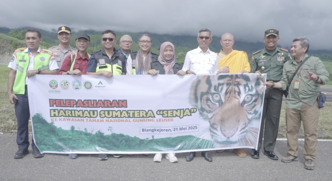 Foto: Foto 1: PT Agincourt Resources (PTAR) memfasilitasi pelepasliaran harimau Sumatra "Senja" ke TNGL, Aceh, Rabu (21/3/2025). Kegiatan itu dihadiri Wakil Presiden Direktur PTAR Ruli Tanio (keempat dari kiri), Direktur External Relations PTAR Sanny Tjan (keenam dari kiri), dan Kepala BBKSDA Sumatra Utara Novita Kusuma Wardani (kelima dari kanan). Dok: PTAR