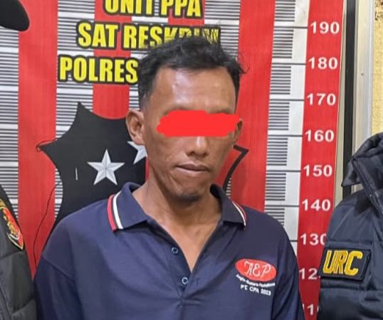 Cabuli Cucu Sejak Kelas V SD, Seorang Kakek di Badiri Ditangkap Polisi